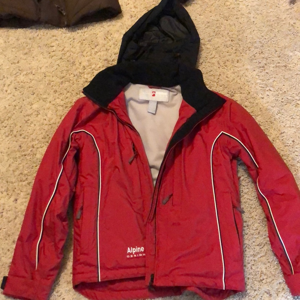 Alpine ski jacket